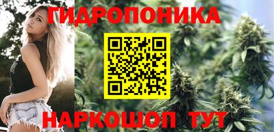 твердый Кимры