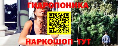 мескалин Кингисепп