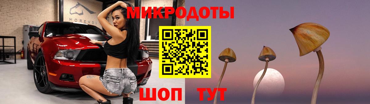 Курчатов  Галлюциногенные грибы Psilocybine cubensis  Вход с VPN 